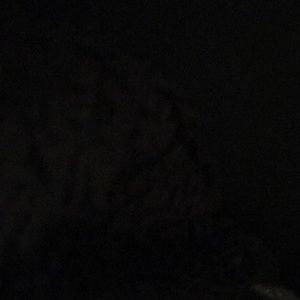 Meet your Posher, Maryam